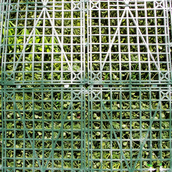 Mur Vegetal Artificiel Tropic