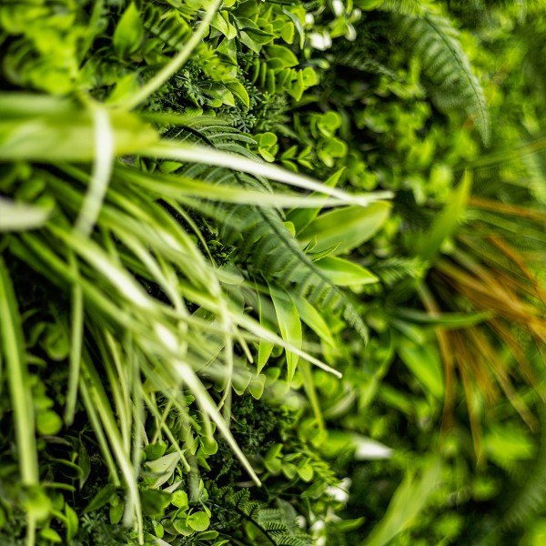Mur vegetal artificiel Savane au M Les avantages d’un mur végétal artificiel comparé au naturel
