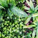 Mur végétal artificiel Jungle : la meilleure solution de brise vue extérieur