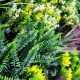 Mur Vegetal Artificiel Tropic