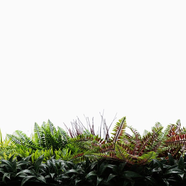 Mur Vegetal Artificiel Tropic