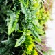 Mur Vegetal Artificiel Tropic