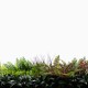 Mur Vegetal Artificiel Tropic