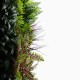 Mur Vegetal Artificiel Tropic