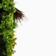 Mur Vegetal Artificiel Life