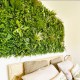 Mur vegetal artificiel Savane au M Mur artificiel modulable : tout savoir sur les panneaux végétaux