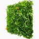 Mur vegetal artificiel Savane au M² Comment installer un mur artificiel chez soi