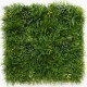 mur-vegetal-artificiel-fougere-dense-au-m2-prix-pro