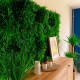 mur-vegetal-artificiel-fougere-dense-au-m2-prix-pro