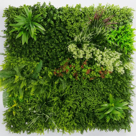 mur-vegetal-coloré-prairie-1m2-tarif-pro