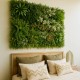 lot-50-brise-vue-prairie-color-grossiste-vente-volume