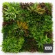 fournisseur-mur-vegetal-wood-colors-tarif-pro