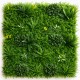 mur-vegetal-artificiel-fougere-dense-au-m2-prix-pro