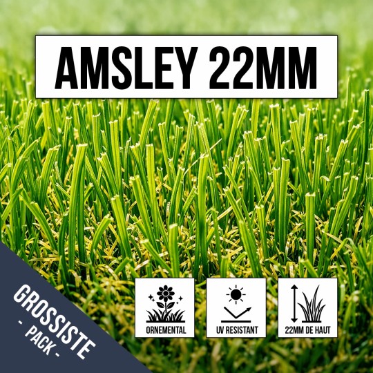 Gazon synthétique ornemental 22mm Amsley