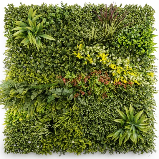 mur-vegetal-coloré-prairie-1m2-tarif-pro