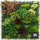 mur-vegetal-tropic-grossiste-vente-volume