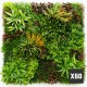 fournisseur-mur-vegetal-wood-colors-tarif-pro