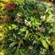 Lot 50 m² mur artificiel vegetal Love Room