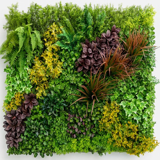 Mur vegetal artificiel Life