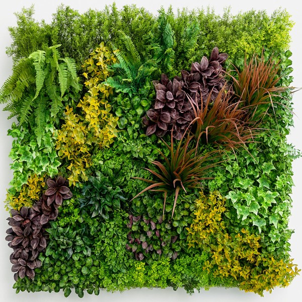 Mur vegetal artificiel Life