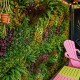 Life lot 5 m² mur vegetal artificiel