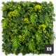 lot-5-mur-vegetal-exotik-distributeur-vente-gros