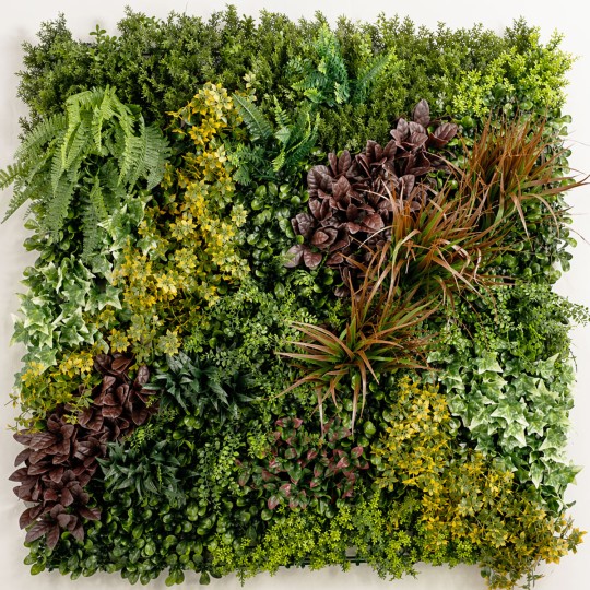 Mur vegetal artificiel Life