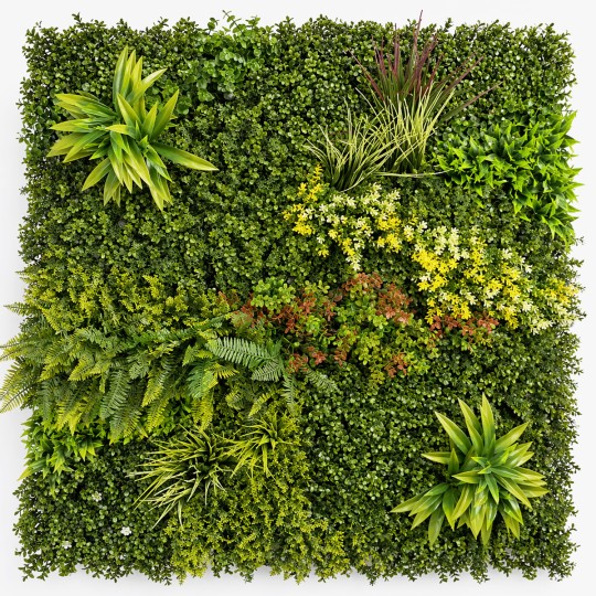 mur-vegetal-coloré-prairie-1m2-tarif-pro