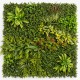 mur-vegetal-coloré-prairie-1m2-tarif-pro