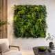 exemple-utilisation-mur-artificiel-exotique-au-m2
