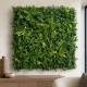 Mur vegetal artificiel Vegetal Chic lot 5 m²