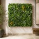 lot-50-pieces-mur-vegetal-savane-tarif-pro