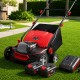 Brosseuse gazon synthétique sans fil DT2504S rouge et noire avec sac – rendu fabricant retouché