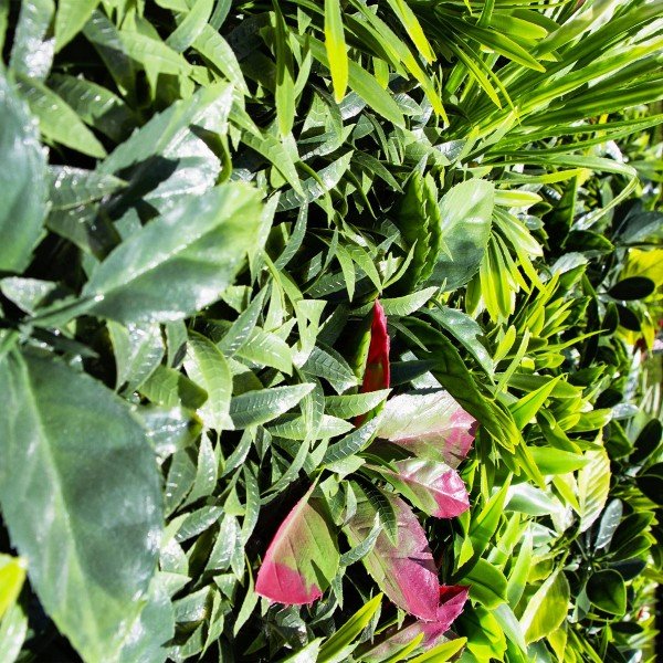 Mur Vegetal Artificiel Mixed au M²