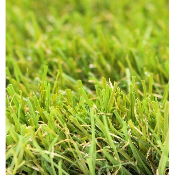 Gazon synthétique Cassis 20mm 4Mx25M