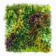 Mur Vegetal Artificiel Life