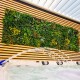 Mur vegetal artificiel Jungle au M²