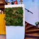 Mur vegetal artificiel Prairie Color au M²