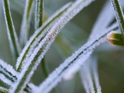 Comment réagit le gazon synthétique face à la neige et au gel ?